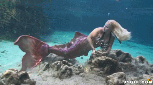 湖底美人鱼视频图片:美人鱼
