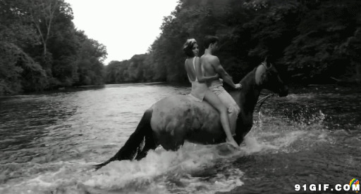 情侣骑马过河视频图片