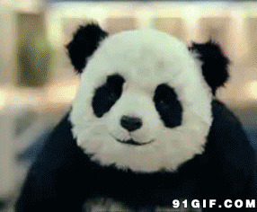 熊猫超市恶搞图片:熊猫