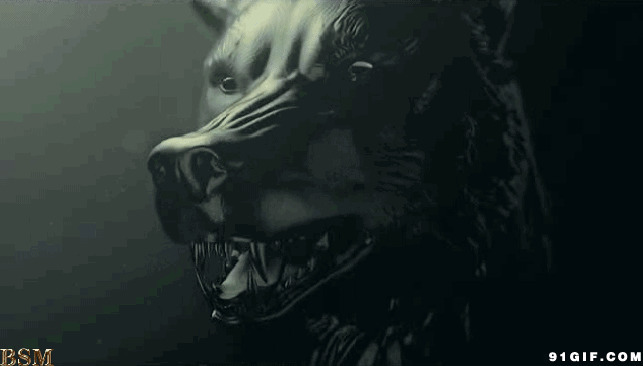 凶煞的狼头图片:饿狼,凶猛,獠牙