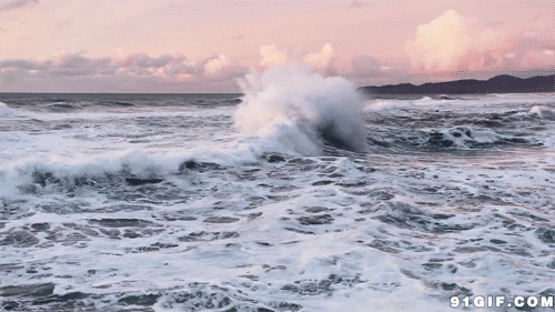 大海卷起白色浪花图片