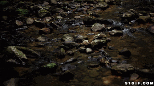 河岸小溪流水图片:小溪,流水