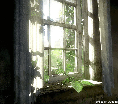 残破窗户透过炫眼的阳光图片:窗户,阳光