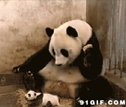 熊猫惊吓动态图片