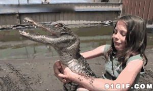 小女孩抓鳄鱼动态图片:鳄鱼
