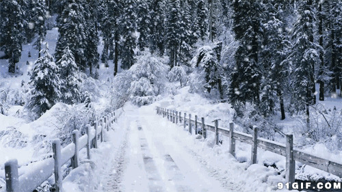 千里冰封山林积雪风景图片:冰雪,风景,下雪,唯美