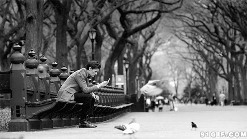 孤独男人和放飞的鸽子图片:孤独,鸽子