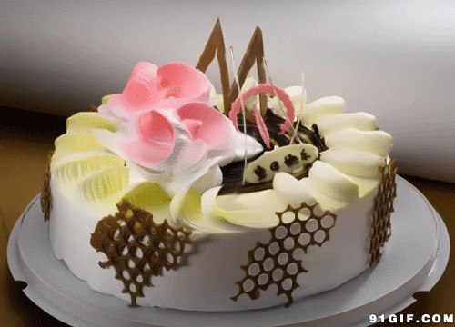卡通生日蛋糕花语图片动态图片:生日蛋糕