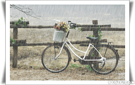 雨中停靠的单车唯美图片