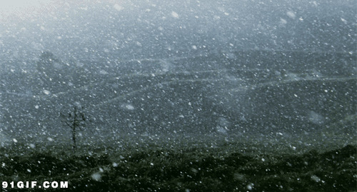 极寒冬季漫天飞雪图片:雪景,下雪