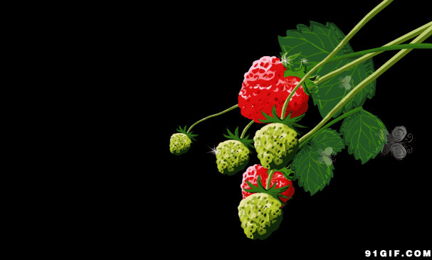 树上摆动鲜红果实动画图片:水果,清雅,草莓