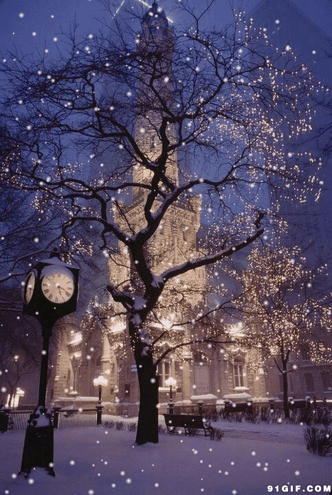 雪花飘落小镇美景图片:雪花,雪景,唯美,下雪