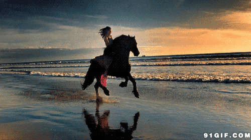 黄昏策马飞奔于海滩图片