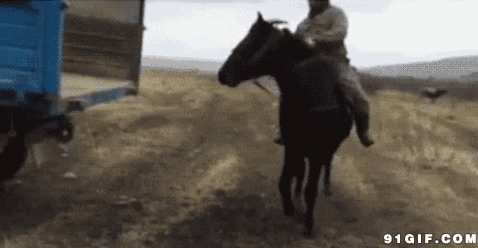 骑马上车搞笑图片:骑马