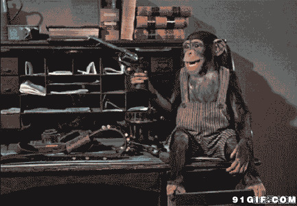 猴子开枪黑白图片:猴子