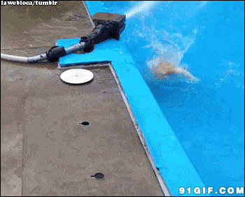 小狗狗喝水搞笑图片:狗狗,摔倒