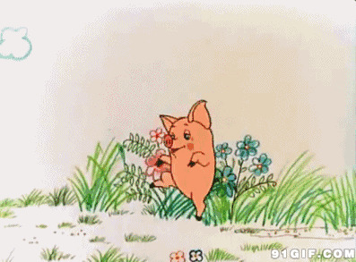 快乐的卡通小猪图片:猪