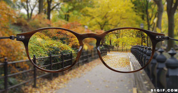 眼镜片清晰的落叶美景图片