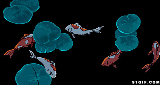 鱼儿水里畅游动画图片:小鱼,畅游