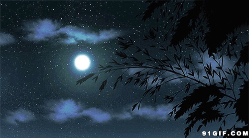 明月下摇动的树枝图片:月亮,树枝,夜晚