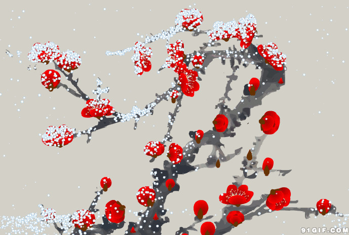 寒冬雪花盖腊梅唯美动画图片:腊梅,雪花,唯美