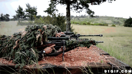 士兵伪装射击训练图片:射击,训练,狙击手