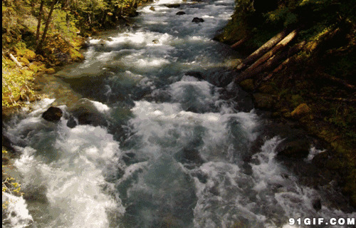 河道流水美景动态图:流水,河道,河水