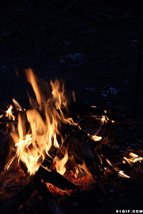 木材烧火动态图片