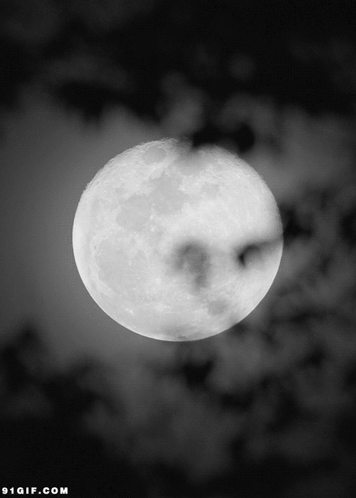 朦胧月色动态图:月亮,月色,朦胧
