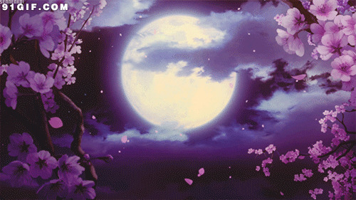 月下花纷飞唯美卡通图片:月亮,花朵,飘落