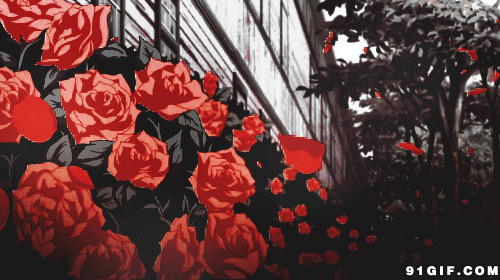 红花卡通图片:红花,花瓣