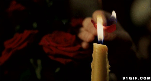 花瓣点火动态图:花瓣,蜡烛,点火