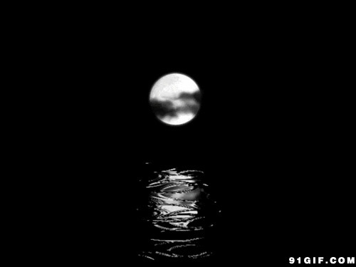 唯美月亮黑白动态图:月亮,唯美