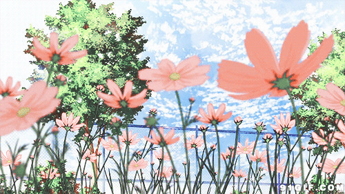 花儿沐浴阳光卡通动态图:鲜花,阳光