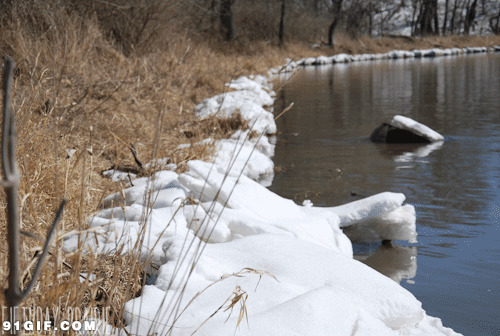 冬季岸边雪景动态图:雪景,冬季,河流