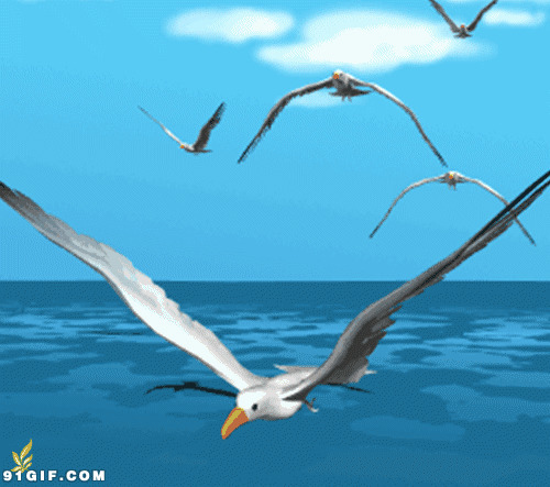 动漫海鸟飞翔动态图:海鸟,海鸥,海洋