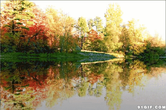 秋天河岸风景唯美动态图:河流,岸边,树木