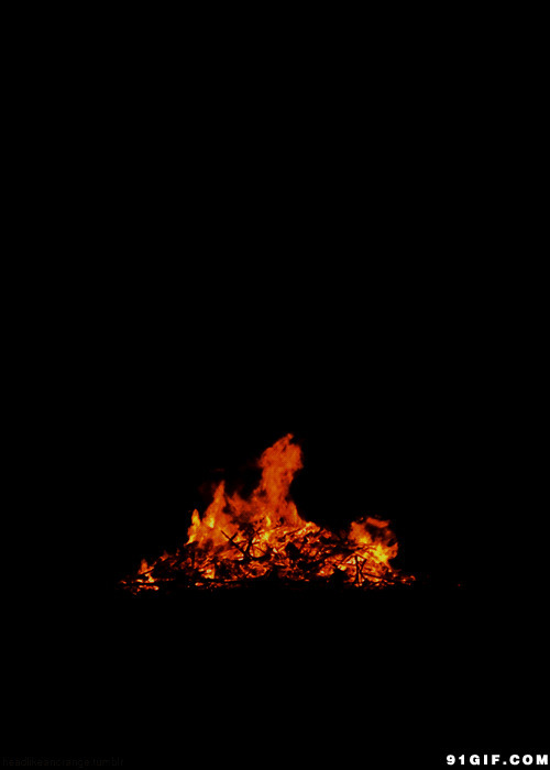 干草燃烧动态图片:燃烧,火焰,草堆