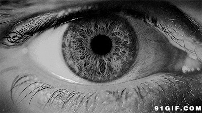瞳孔涣散的图片:瞳孔,眼睛