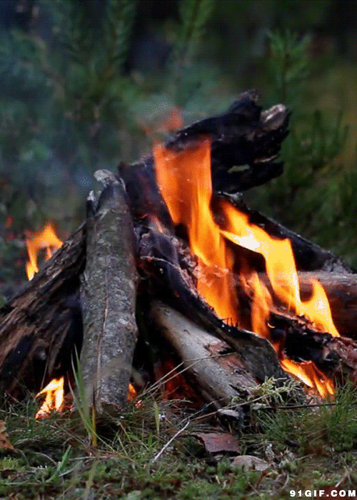 架木材烧火动态图:烧火,火堆,木材