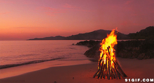 海滩架火燃烧图片:燃烧,木材,海滩