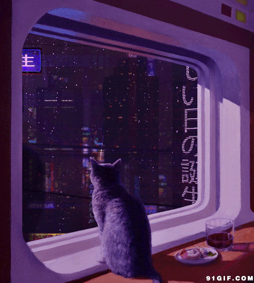 猫猫窗台看风景图片