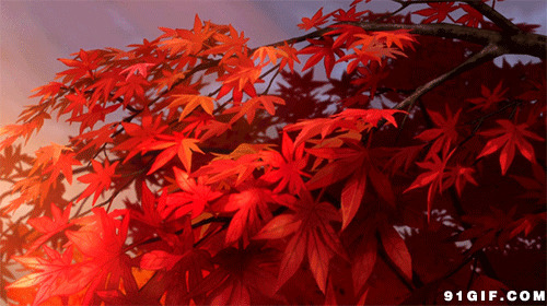 动漫红叶片片飘落唯美图片:红叶,飘落,枫叶