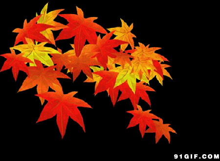 秋天红叶卡通图片