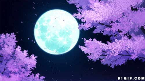 月下飞花动漫图片:月亮,花瓣