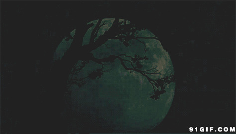 月亮隐身卡通图片:月亮,唯美