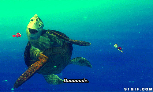 乌龟搞笑表情:乌龟,搞怪,海底