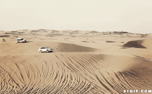 沙漠汽车赛动态图:沙漠,赛车