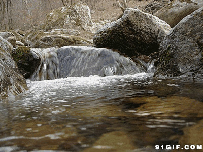 清澈见底小溪图片:小溪,清澈,流水