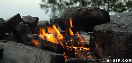 架木柴烧火动态图:木柴,烧火,燃烧